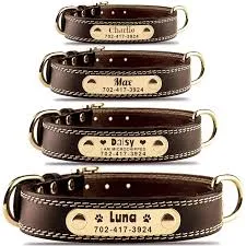 Custom Name Tag Collar