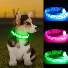 LED Light Up Collar