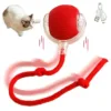 Upgrade Interactive Cat Toys Ball, Motion Activated Electric Rolling Ball Toys for Cats, Super Driver, Led Rainbow Lights, Automatic On/off, Long Tail, Usb Rechargeable, 3 Working Mode