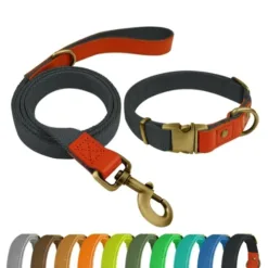 Qianruida Nylon Dog Collar and Leash Set Durable - Adjustable with a Secure Fastening, Comfortable and Long - lasting, Ideal for Walking, Training, and Outdoor Safety, Blue - black, XL